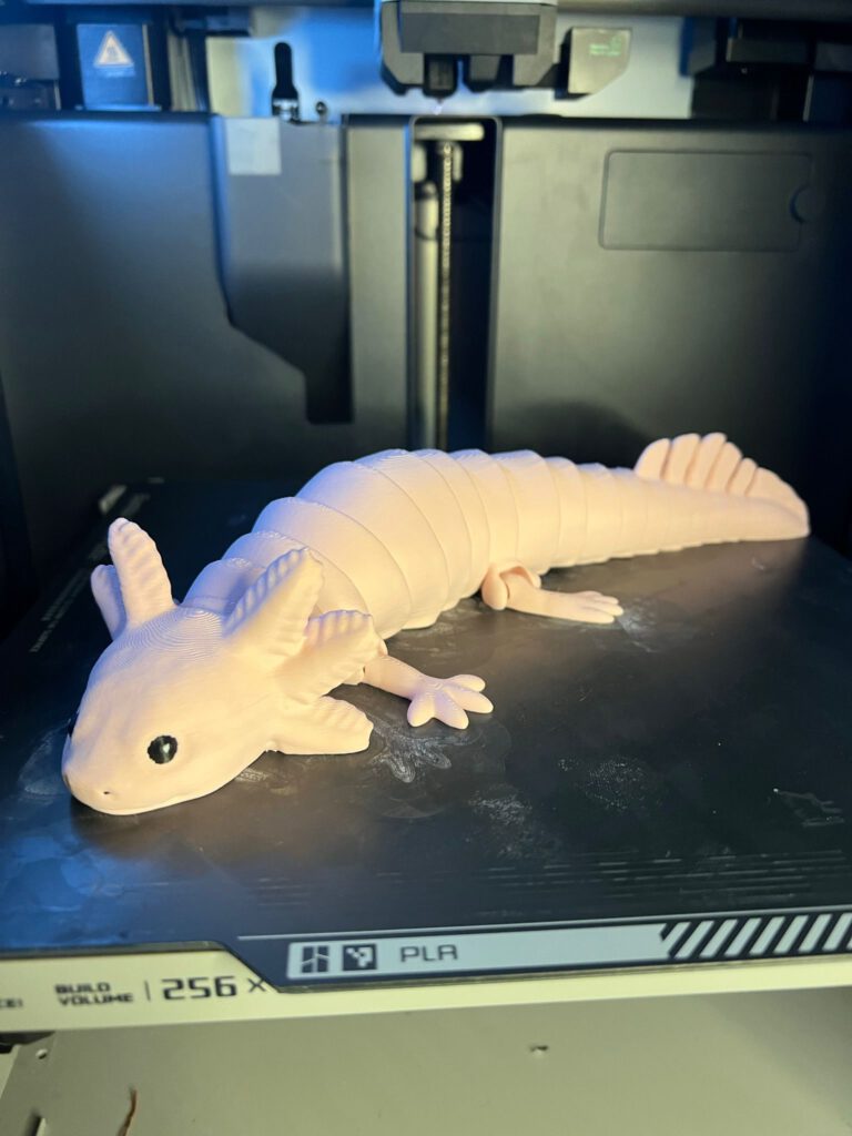 3D-Modell - Axolotl